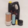 B2100 B2100HST w/D1005-D10 Engine Filter/Oil Service Kit