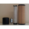 RTV1100 w/D1105-E Engine Filter Service Kit
